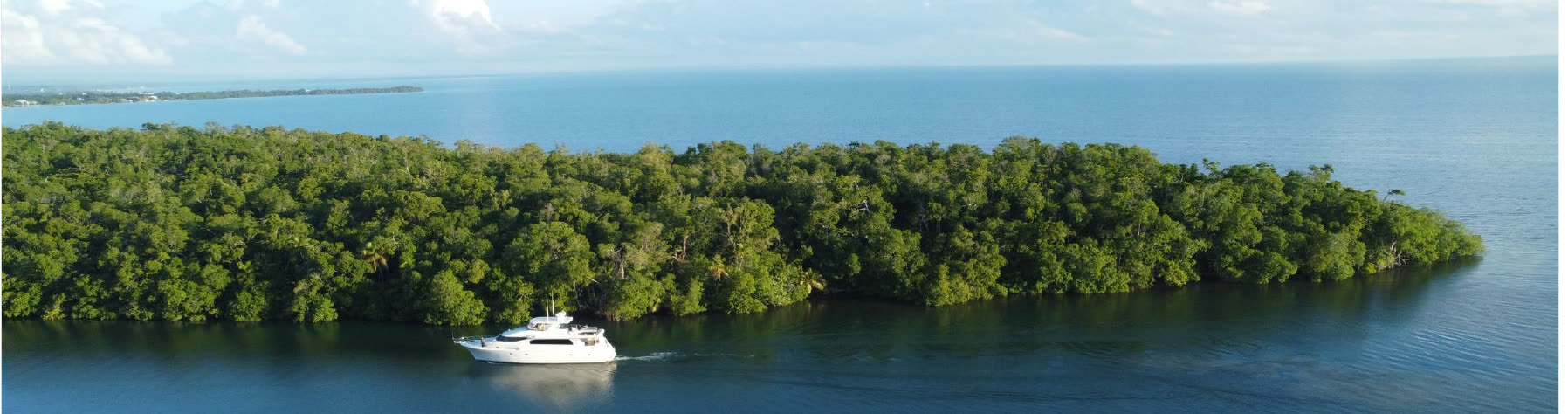 Aerial panorama of the Sittee Point peninsula with a yacht passing the mangrove shoreline