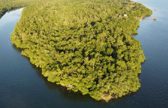 Aerial view of the Sittee Point resort development site