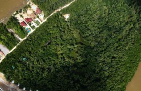 Aerial view of the marina and treehome sites